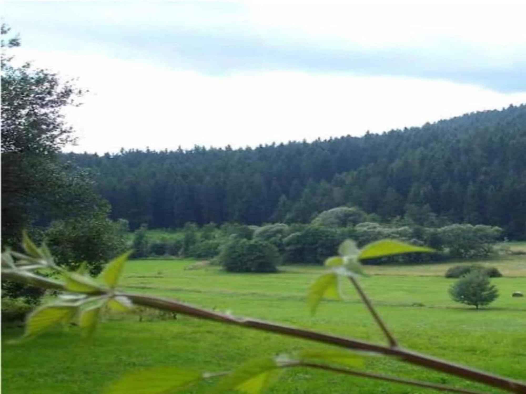Comfort Apartment With Balcony In The Beautiful Bavarian Forest Drachselsried Esterno foto