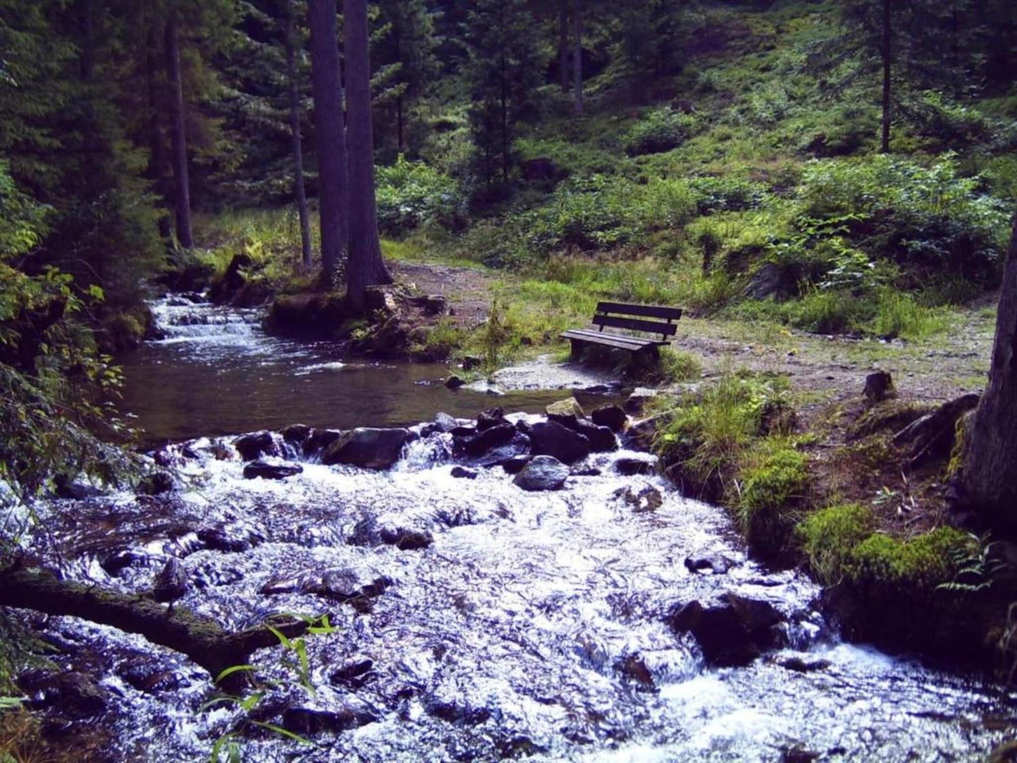 Comfort Apartment With Balcony In The Beautiful Bavarian Forest Drachselsried Esterno foto