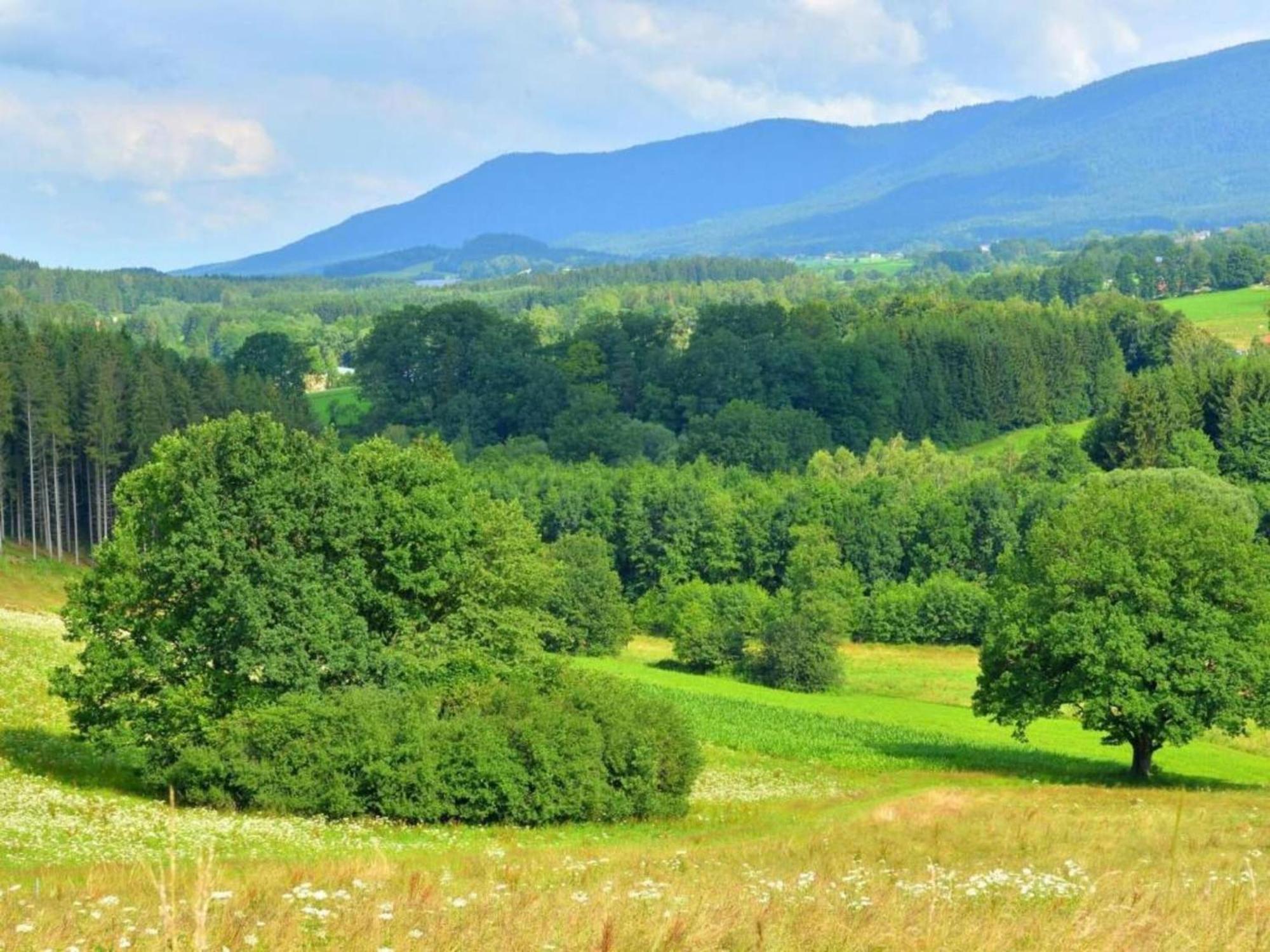 Comfort Apartment With Balcony In The Beautiful Bavarian Forest Drachselsried Esterno foto