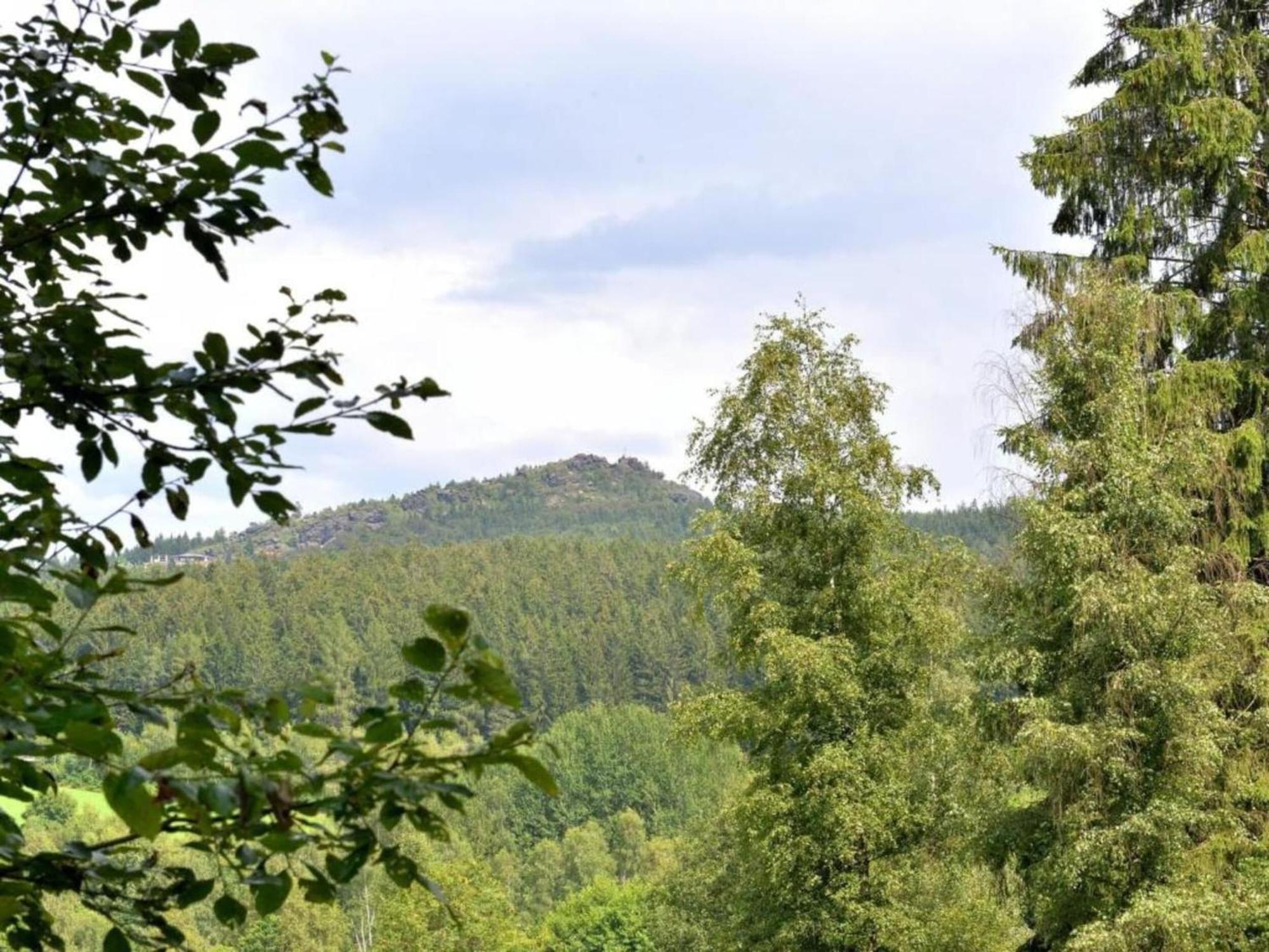 Comfort Apartment With Balcony In The Beautiful Bavarian Forest Drachselsried Esterno foto