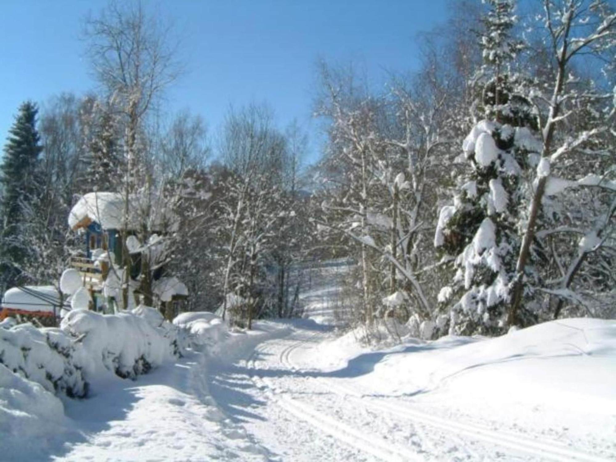Comfort Apartment With Balcony In The Beautiful Bavarian Forest Drachselsried Esterno foto